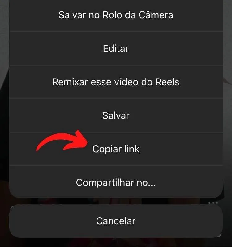 baixar-reels-instagram