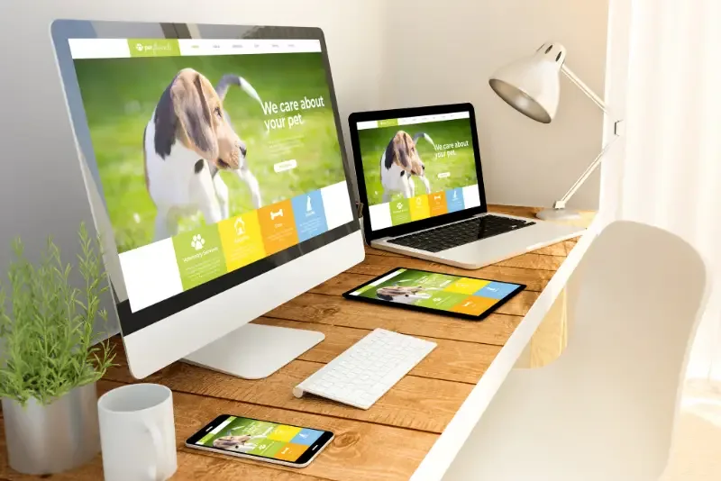 responsivo-montar-um-marketplace-proprio-800x534